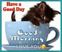 Kitten In Blue Cup With Have A Good Day Good Morning Love You GIF