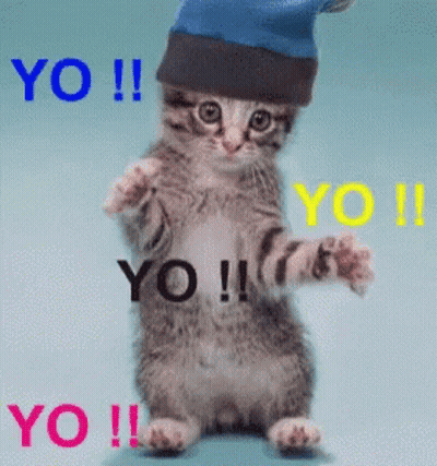 Kitten In Blue Hat Saying Yo GIF