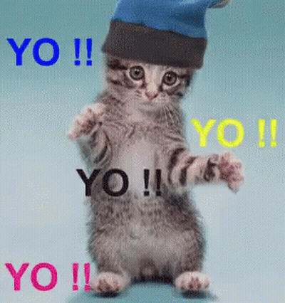 Kitten In Blue Hat Saying Yo GIF