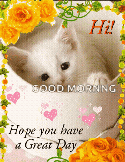 Kitten In Cup Good Morning Hope You Have A Great Day GIF