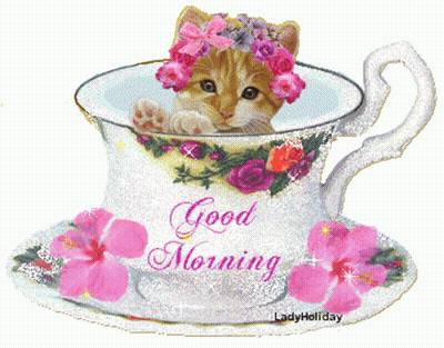 Kitten In Cup Saying Good Morning GIF