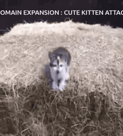 Kitten In Hay Omain Expansion Cute Kitten Attack GIF
