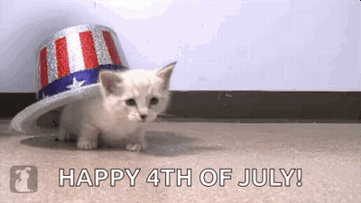 Kitten in Patriotic Hat Saying Happy 4th of July
