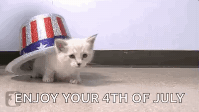 Kitten In Patriotic Hat Walking GIF