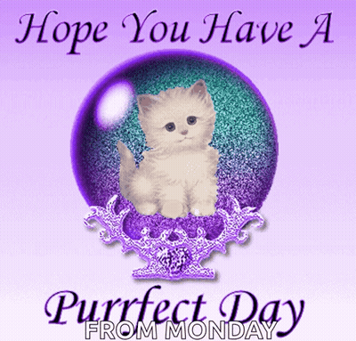 Kitten In Purple And Green Ball Hope You Have A Purrfect Day GIF