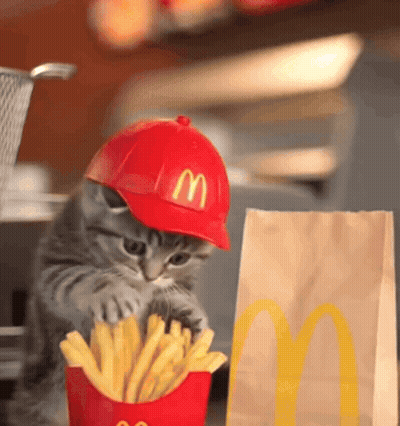 Kitten In Red McDonald's Hat Playing With Fries GIF