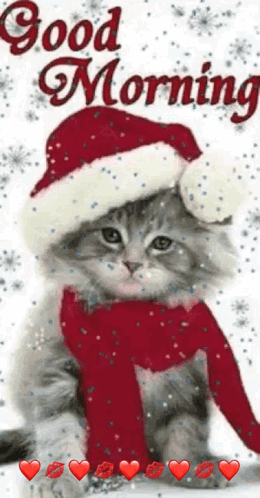 Kitten In Santa Hat And Scarf Sitting On Snowy Surface GIF
