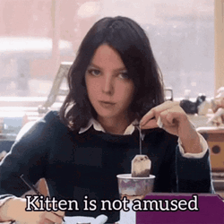 Kitten Is Not Amused GIF
