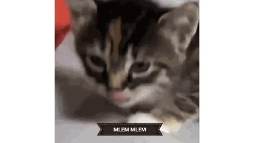 Kitten Laying Down Saying Mlem Mlem Sticker
