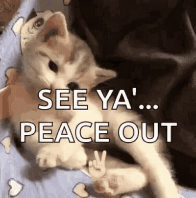 Kitten Laying On Bed See Ya Peace Out GIF