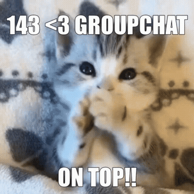 Kitten Laying On Blanket 143 < 3 Groupchat GIF
