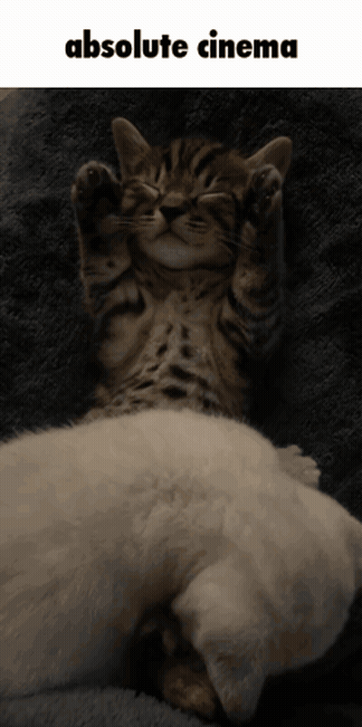 Kitten Laying On Kitten Absolute Cinema GIF