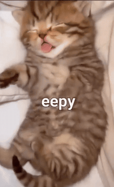 Kitten Lying On Back With Tongue Out GIF