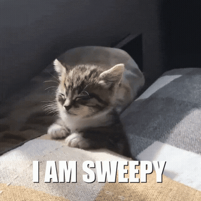 Kitten Lying On Blanket Saying I Am Sleepy GIF