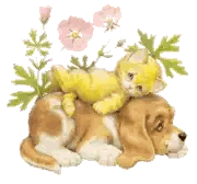 Kitten Lying On Dog With Flowers Sticker