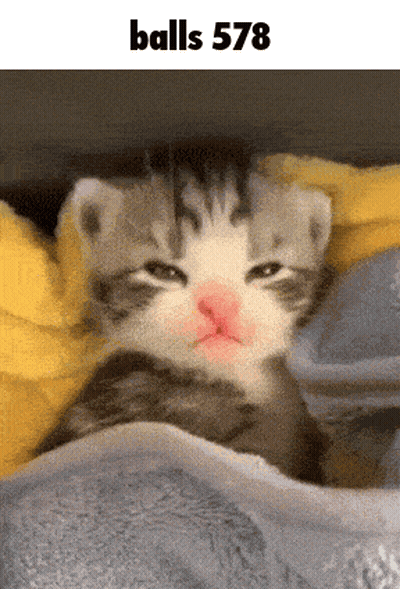 Kitten Lying Under Blanket Balls 578 GIF