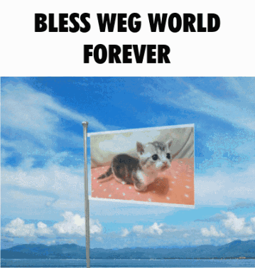 Kitten On Flag Bless World Forever GIF