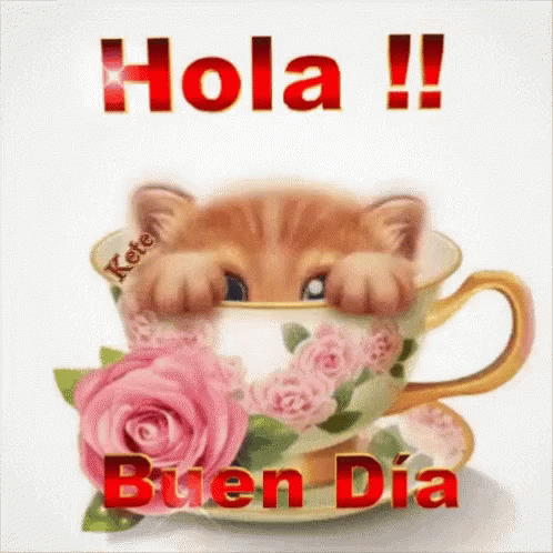 Kitten Peeking Out Of Cup Of Tea With Roses And Hola Buen Dia GIF