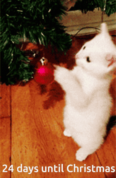 Kitten Playing With Christmas Ornament 24 Days Until Christmas GIF