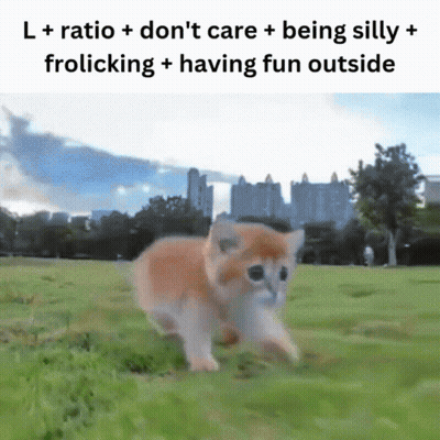 Kitten Running In Field With L + Ratio Don't Care GIF