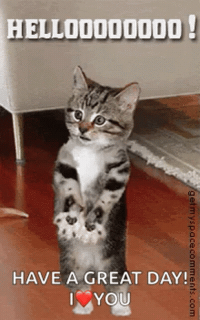 Kitten Saying Have A Great Day GIF