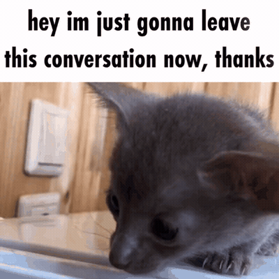 Kitten Saying Hey Im Just Gonna Leave GIF