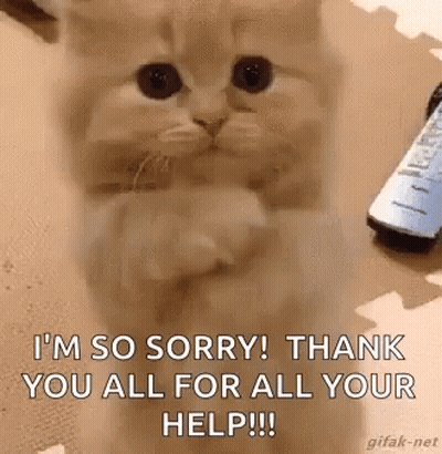 Kitten Saying I'm So Sorry Thank You All For Your Help GIF