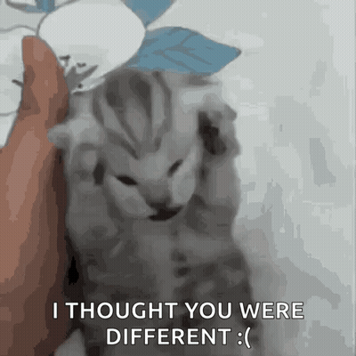 Kitten Saying I Thought You Were Different GIF