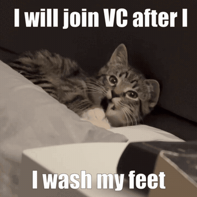 Kitten Saying I Will Join VC After I Wash My Feet GIF