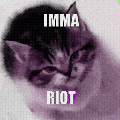 Kitten Saying Imma Riot GIF