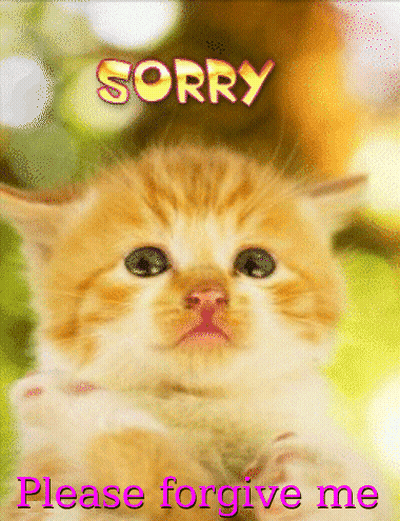 Kitten Saying Sorry Please Forgive Me GIF