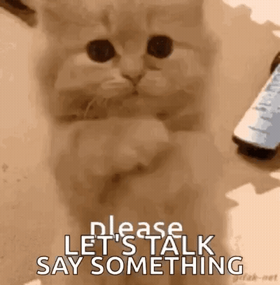 Kitten Sitting By Phone Asking To Talk GIF