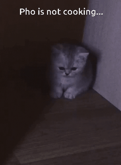 Kitten Sitting In Dark Room Saying Pho Is Not Cooking GIF