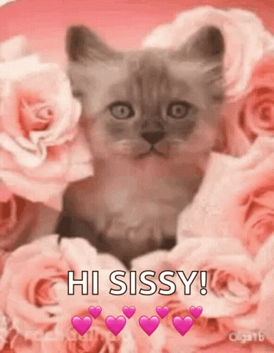 Kitten Sitting In Pink Roses And Hearts GIF