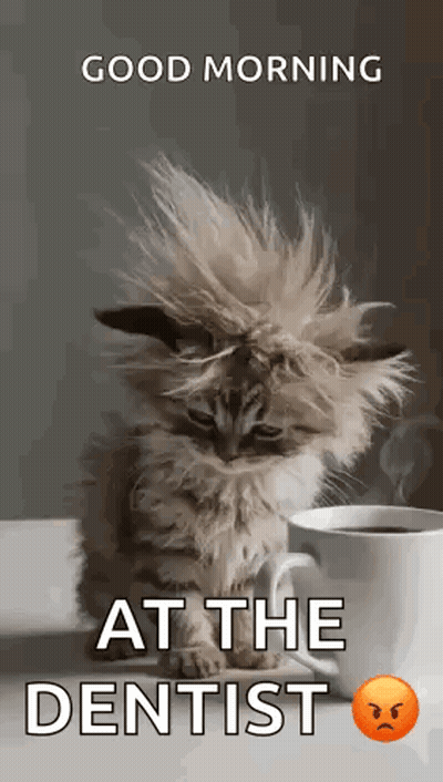 Kitten Sitting Next To Coffee And Good Morning Message GIF