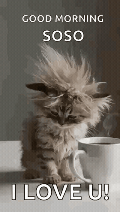 Kitten Sitting Next To Coffee Cup GIF