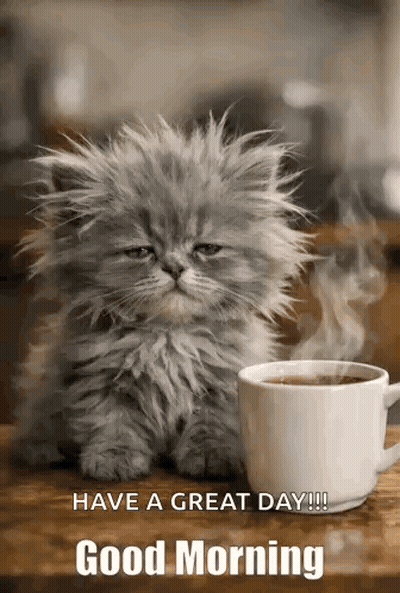 Kitten Sitting Next To Coffee Good Morning GIF