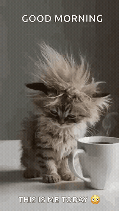 Kitten Sitting Next To Cup Of Coffee GIF