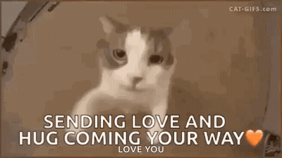Kitten Sitting On Bed Missing You GIF