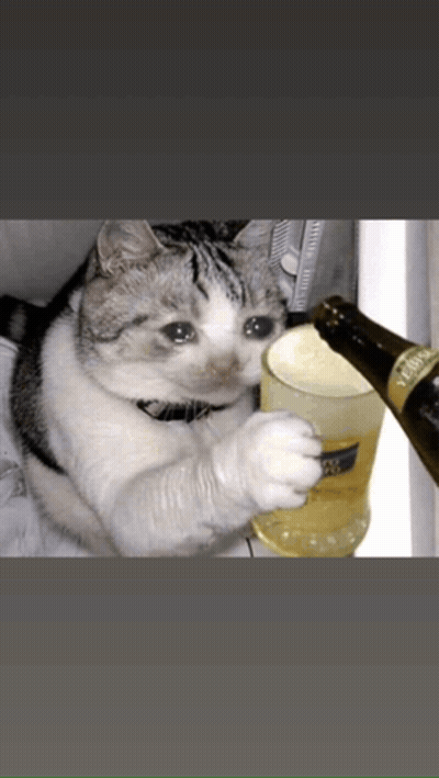 Kitten Sitting On Bed Missing You My Babies GIF