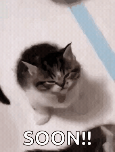 Kitten Sitting On Bed Saying Soon GIF