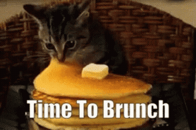 Kitten Sitting On Pancakes With Time To Brunch GIF