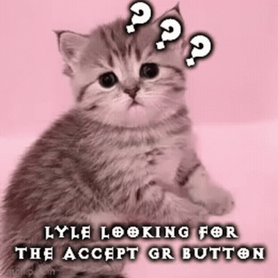 Kitten Sitting On Pink Background With Question Mark GIF