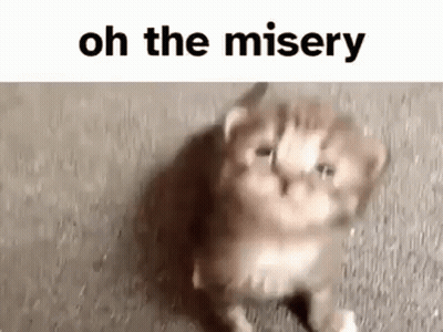 Kitten Sitting With Oh The Misery GIF