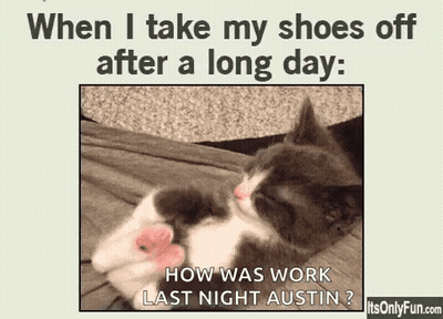 Kitten Sleeping On Bed When I Take My Shoes Off After A Long Day GIF