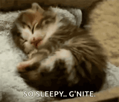 Kitten Sleeping On Pillow Saying So Sleepy G Nite GIF