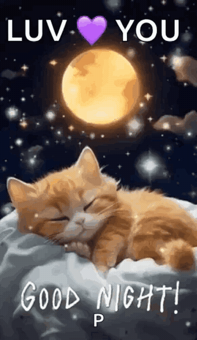 Kitten Sleeping On Pillow Under Full Moon GIF