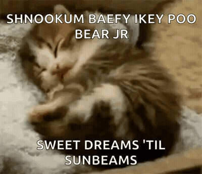 Kitten Sleeping On Pillow With Sweet Dreams GIF