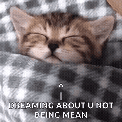 Kitten Sleeping Under Blanket Dreaming U Not Mean GIF