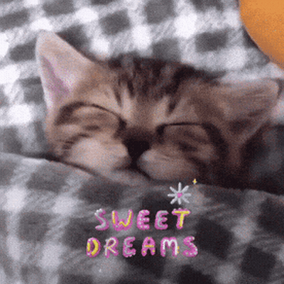 Kitten Sleeping Under Blanket Sweet Dreams GIF
